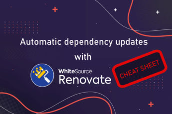 renovate bot presentation