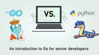 go vs python