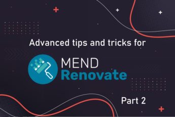 Renovate bot advanced tricks feature