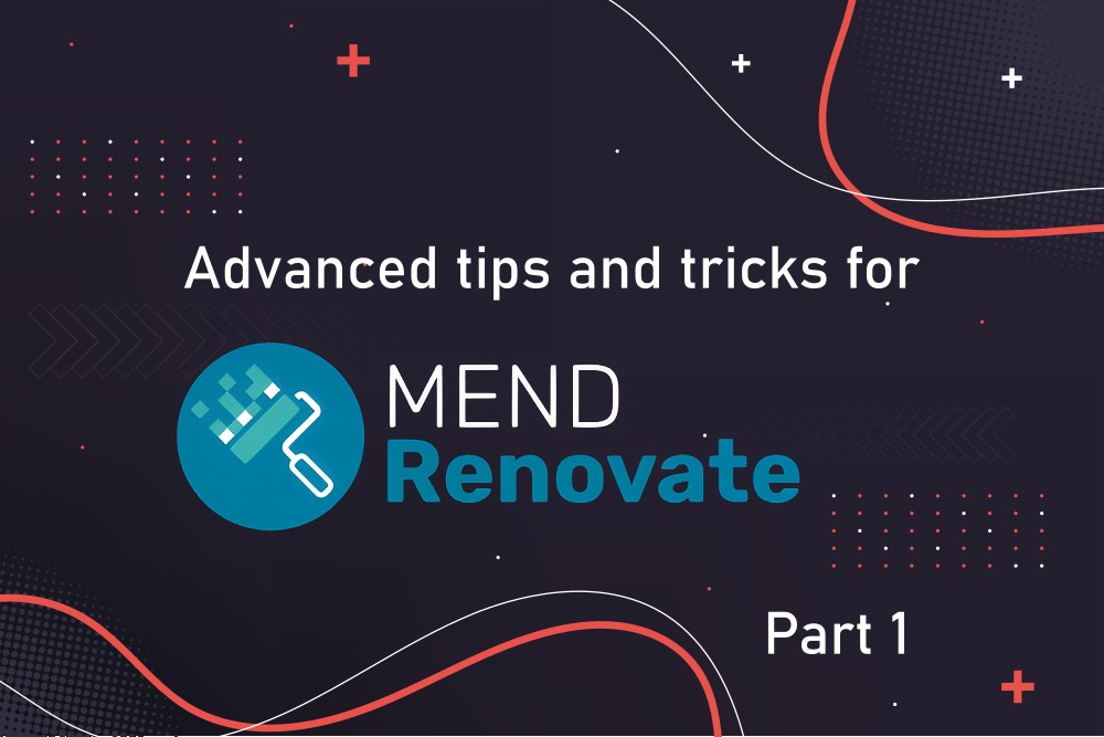 Renovate bot advanced tricks feature